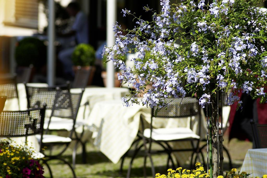 Hotel & Restaurant Sonne Kirchzarten Bagian luar foto